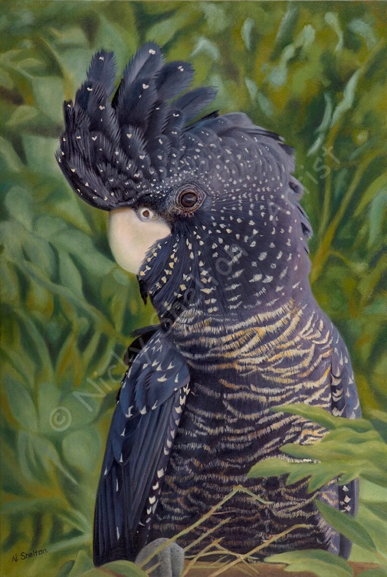 Bird Painting Nelly Selected for MidWest Art Prize