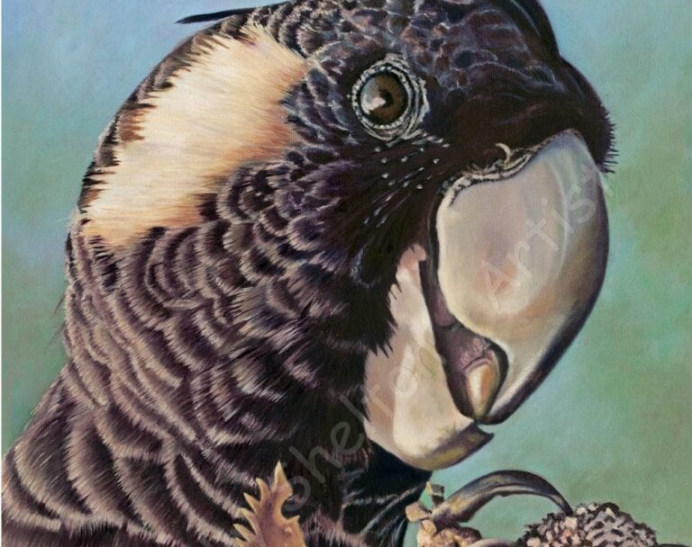 Edwina is a Holmes Art Prize Finalist!