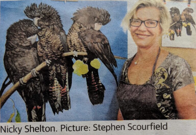 Whiteman Park Featured in Weekend West