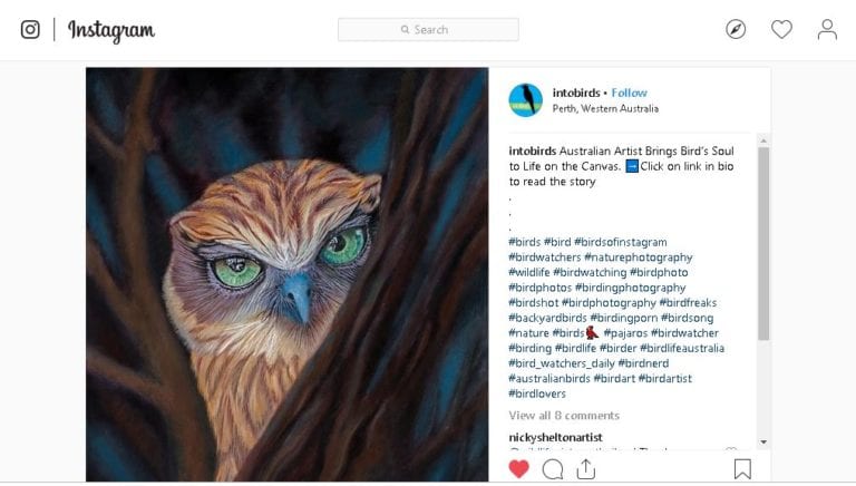 Featured by IntoBirds – an online community for birdlovers