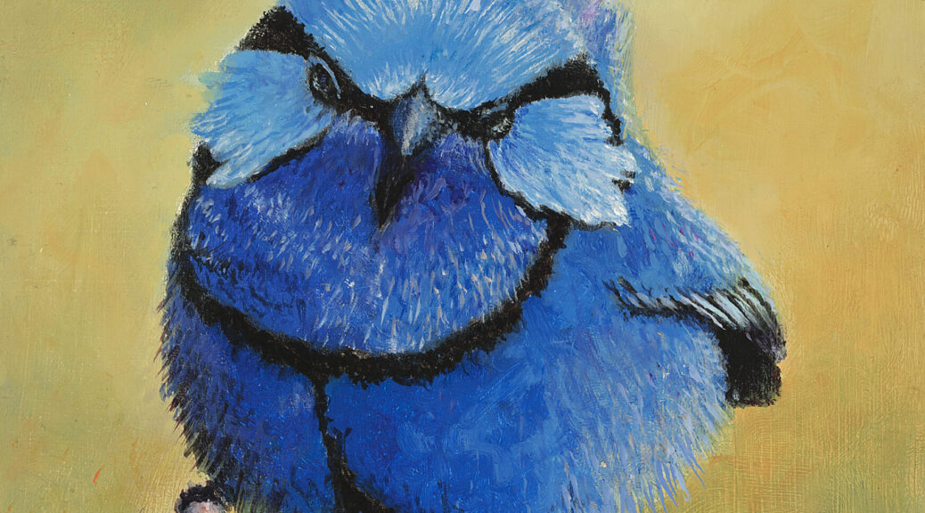 Blue Fairy Wren