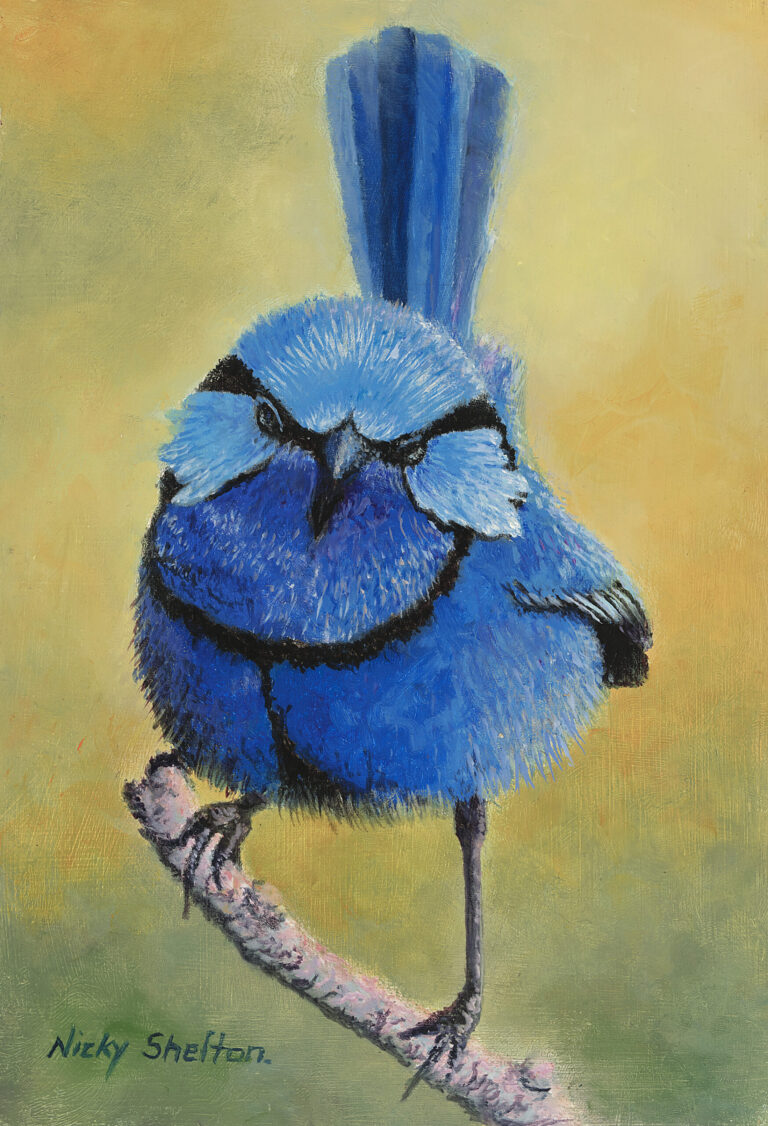 Chiriger the Blue Wren and Warlitje the Eagle