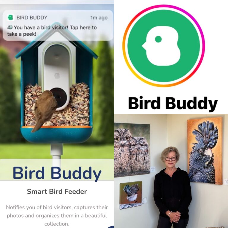Up Close and Personal with “Bird Buddy”