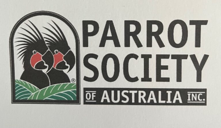 Featured Artist – Parrot Society of Australia Magazine.