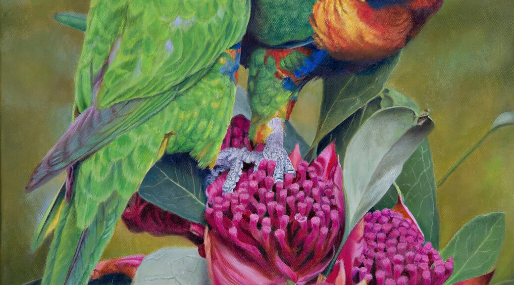 Oil painting of a pair of Rainbow Lorikeets by Nicky Shelton, Australian bird artist.