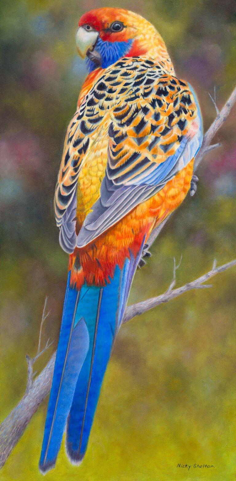 Up Close and Personal with Bird Buddy - Nicky Shelton Artist