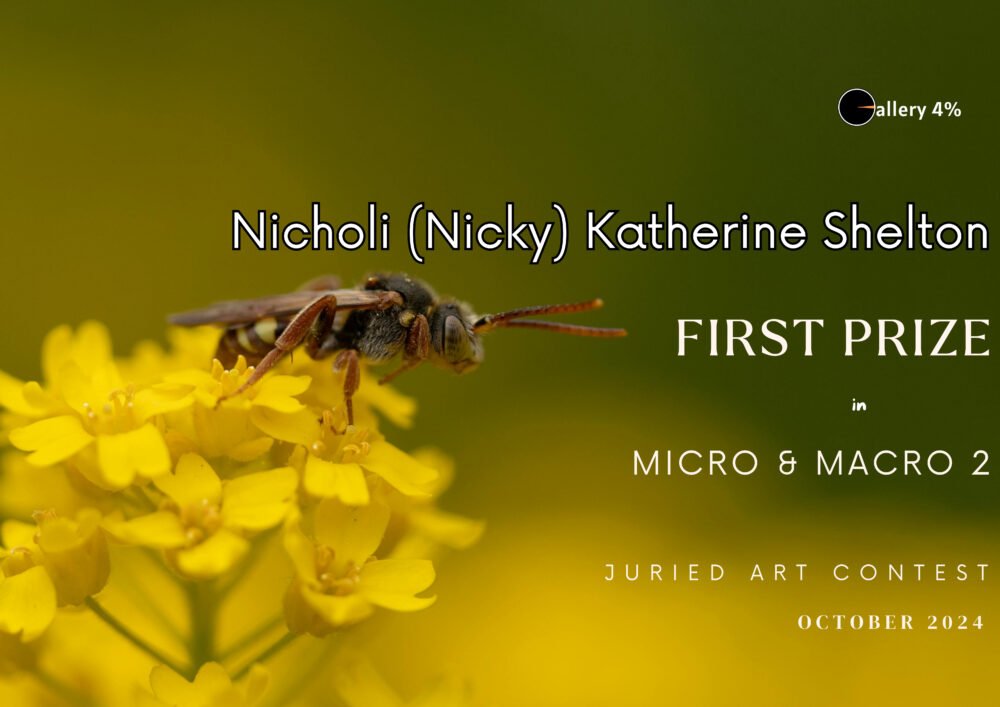 Nicky Shelton - First Prize October 2024