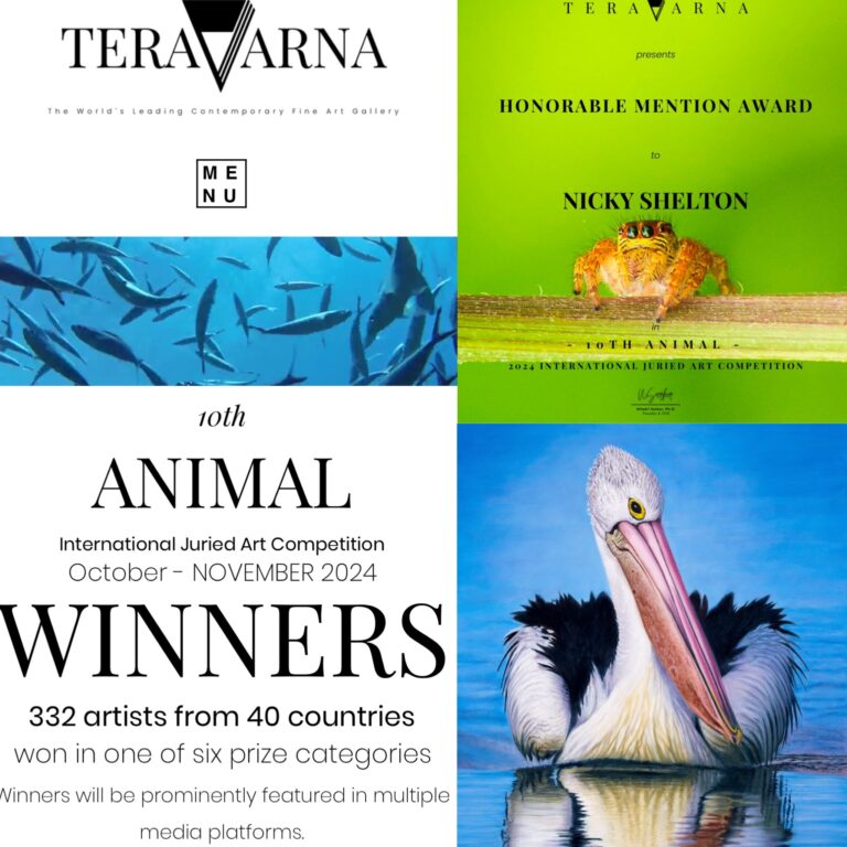 Honourable Mention Award for “Pete” – Australian Pelican painted in oils.