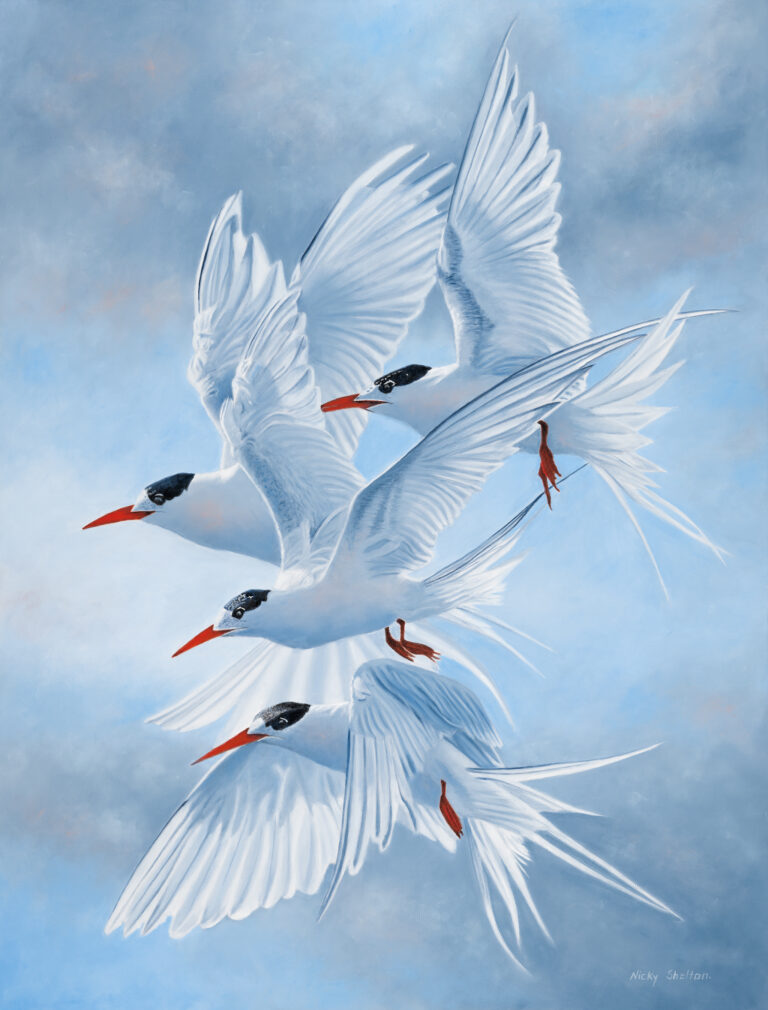 “A Symphony in the Sky” First Place