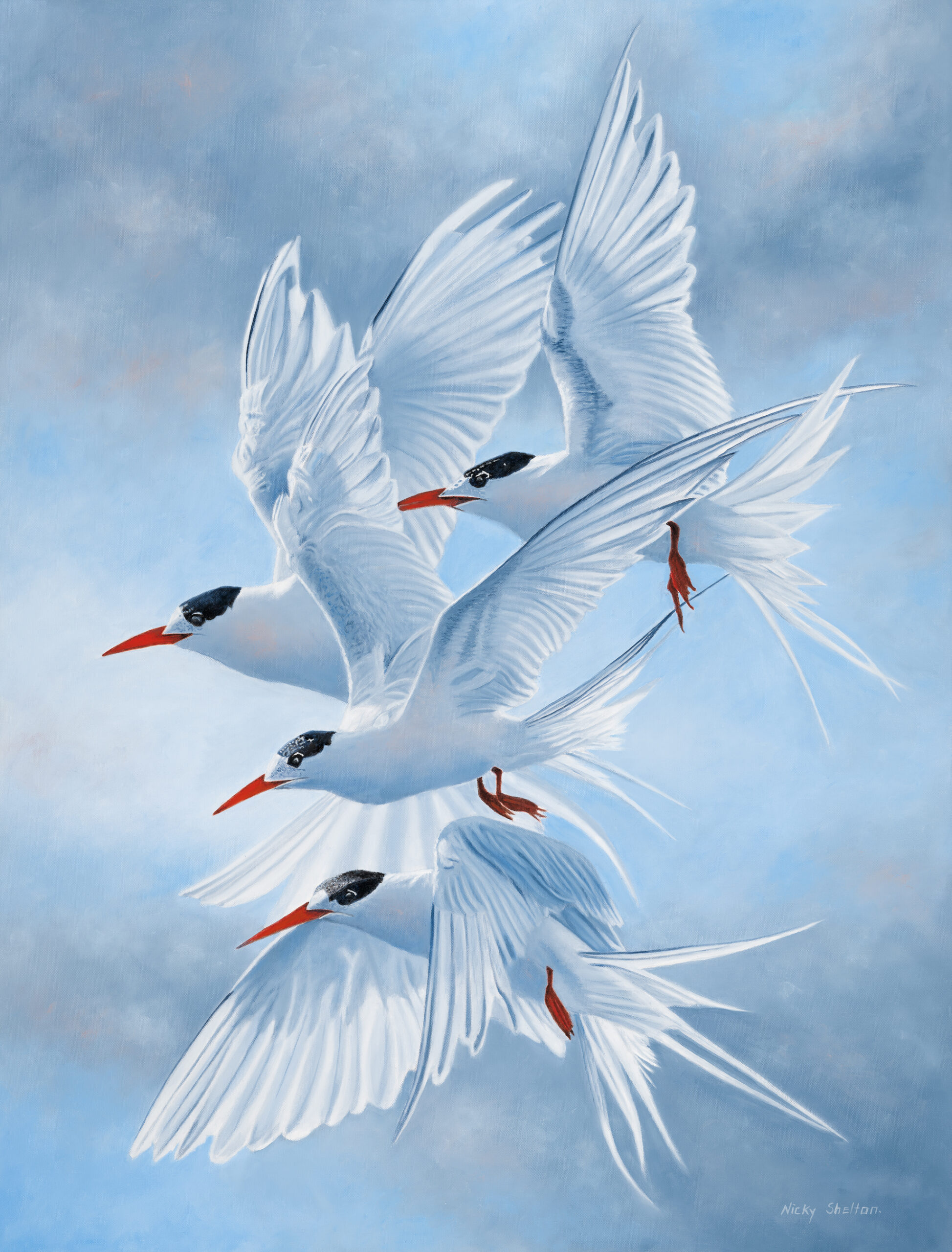 Oil painting of Terns in flight by Nicky Shelton, Australian bird artist.
