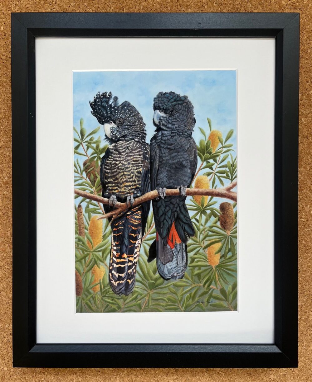 Kindred Spirits - Print in Black Frame