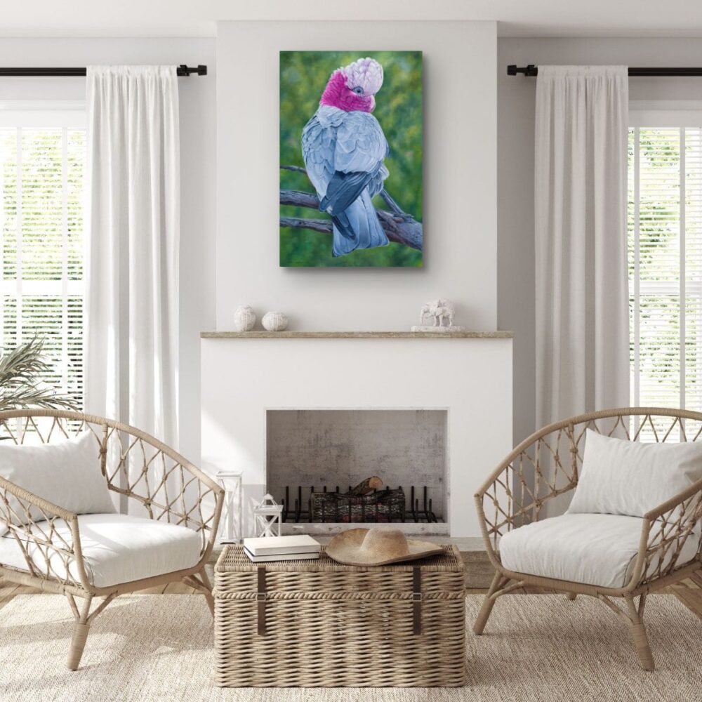 Oil painting of an Australian Galah by Nicky Shelton, Australian bird artist.