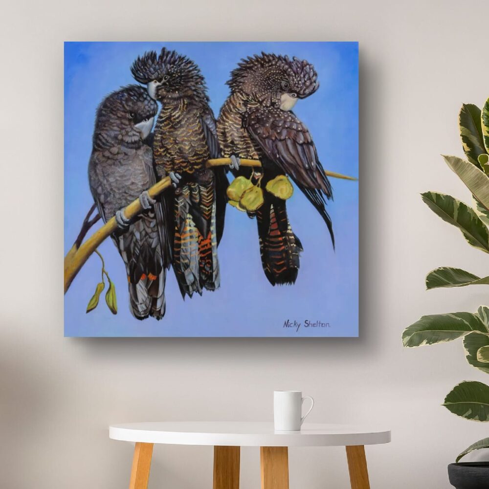 Endangered Red-tailed Black Cockatoos painted in oils by Nicky Shelton, Australian bird artist.
