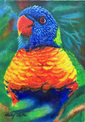 Oil painting of a Rainbow Lorikeet by Nicky Shelton, Australian bird artist.