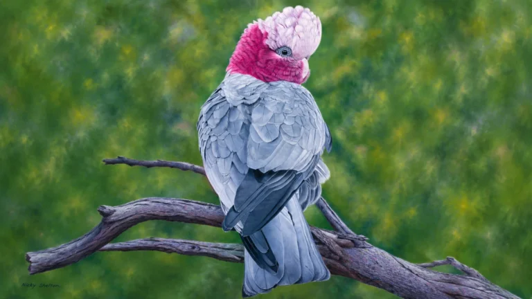 Visual Stories – Margaret River Readers & Writers 2026.