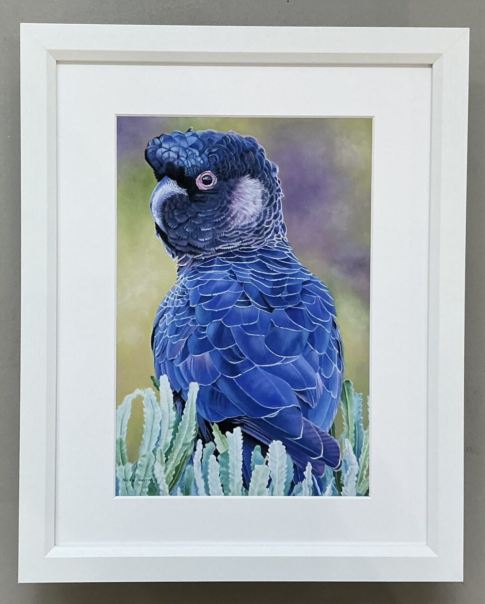 Identical print of an endangered Carnaby's Cockatoo painted in oils by Nicky Shelton, Australian bird artist.