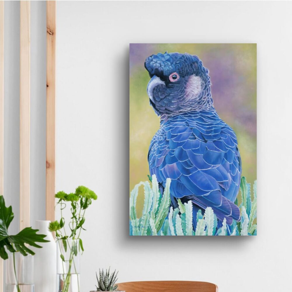 Endangered Carnaby's Cockatoo painted in oils by Nicky Shelton, Australian birdlife artist.