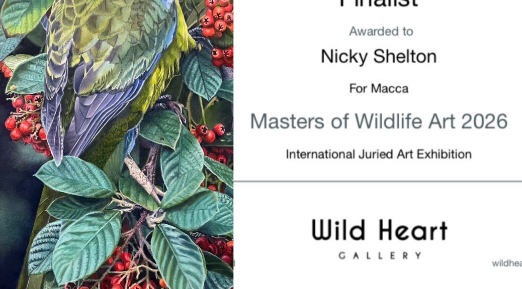 Tasmanian Green Rosella painted in oils by Nicky Shelton, Australian bird artist.