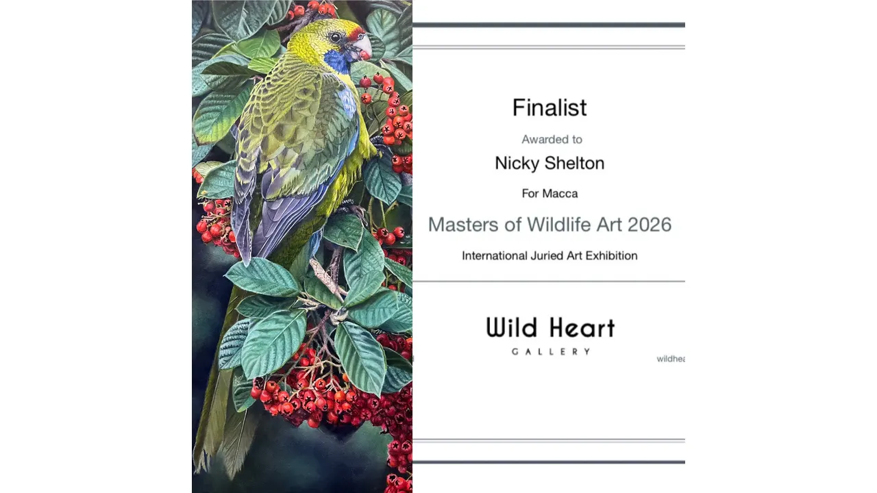 Finalist in the Wild Heart Gallery’s Masters of Wildlife Art 2026