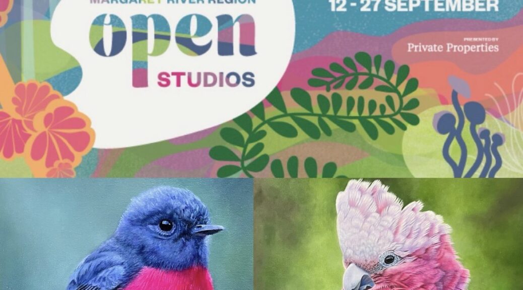 Oil paintings of Australian birds by bird artist Nicky Shelton.