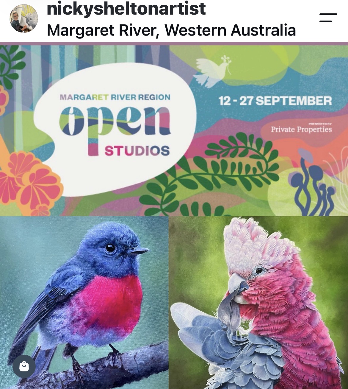 Oil paintings of Australian birds by bird artist Nicky Shelton.