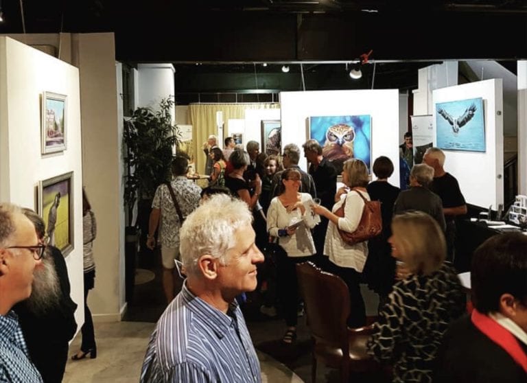 Bird Art Flying Solo – My First Exhibition